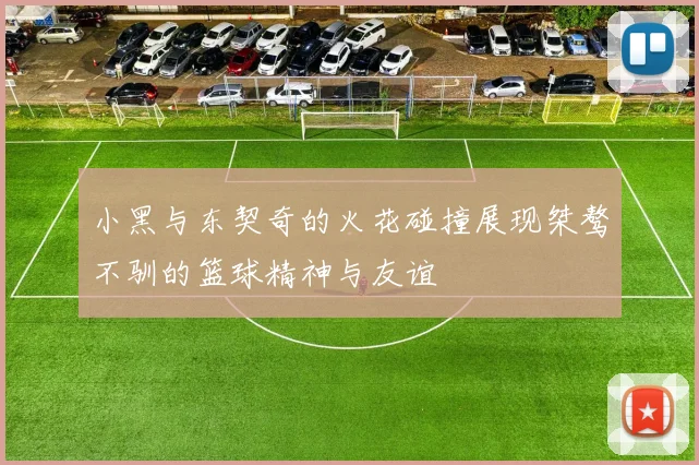 小黑与东契奇的火花碰撞展现桀骜不驯的篮球精神与友谊